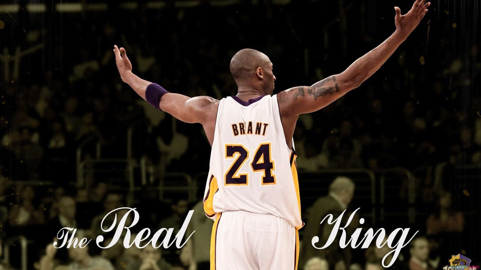 《英雄联盟》青训营：电竞新星的摇篮与残酷竞争，英雄联盟 青训