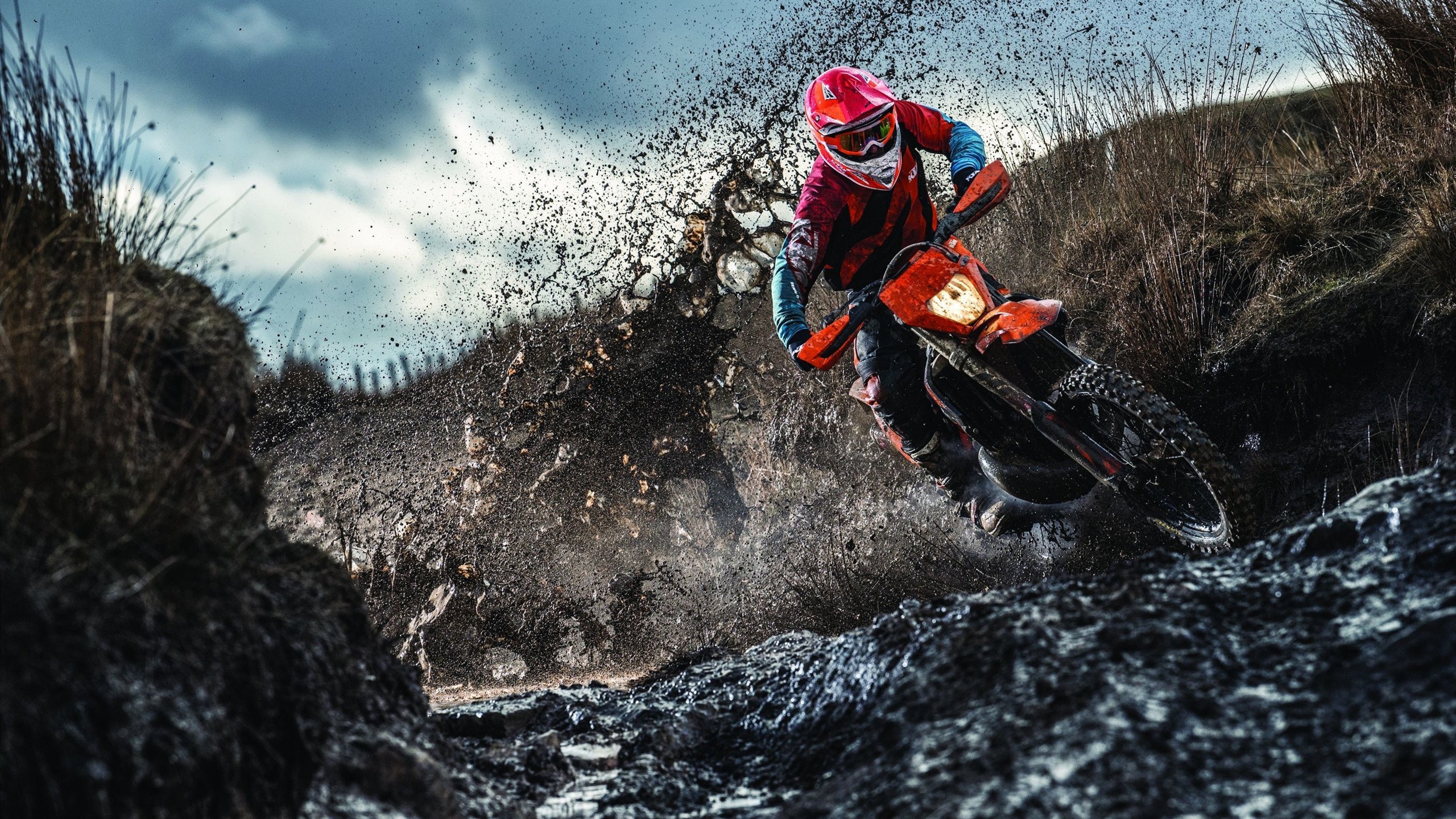 奥地利队肩负重任，努力在欧预赛中展示实力，奥地利队分析